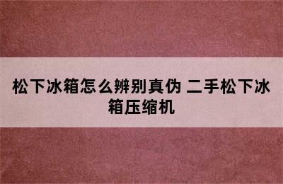 松下冰箱怎么辨别真伪 二手松下冰箱压缩机